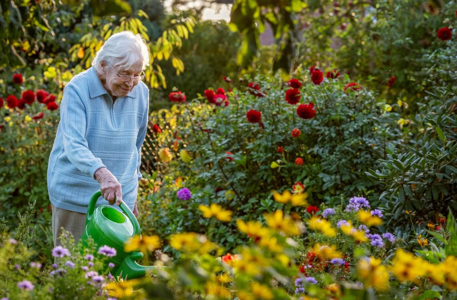 A happy senior waters the flowers in the community garden of their independent living community.